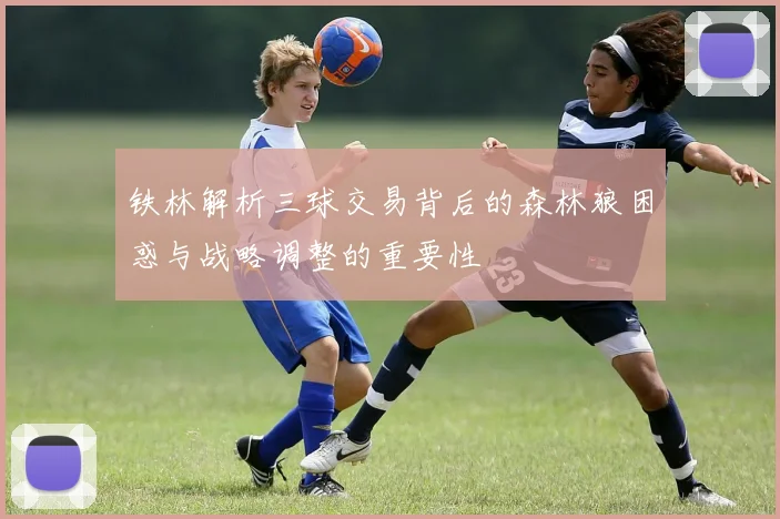 铁林解析三球交易背后的森林狼困惑与战略调整的重要性