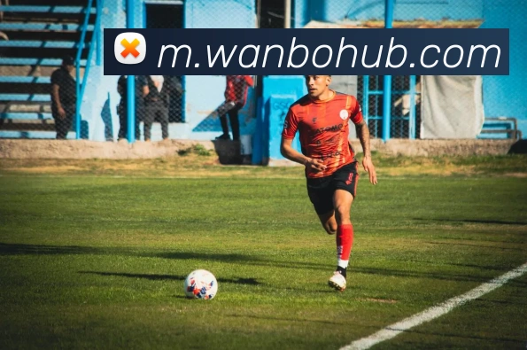 多媒体互动体验