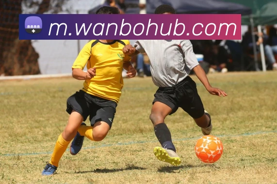 万博体育APP 高清赛事图