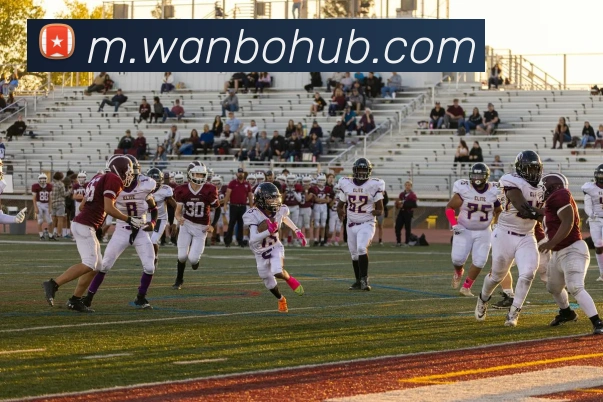 数据防护可视化